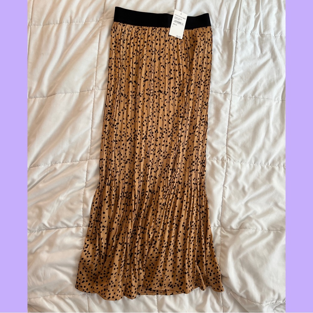 Long Skirt from Nordstrom Rack
